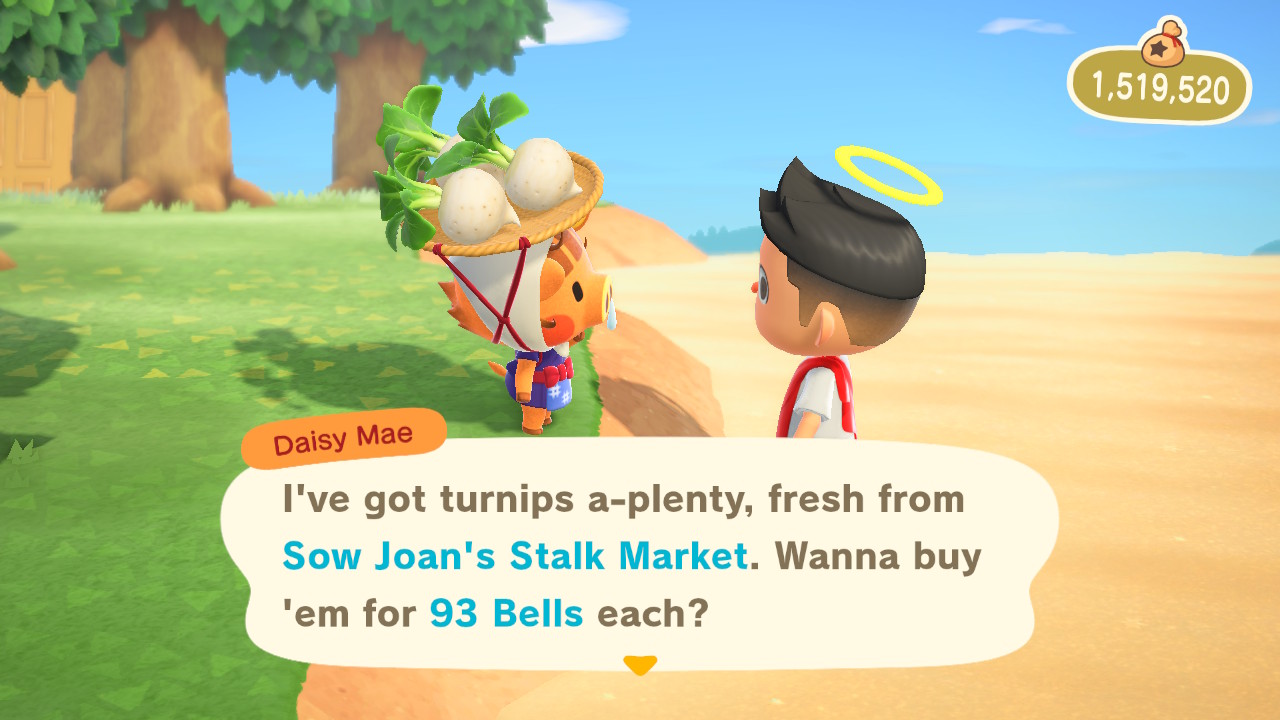 buying turnips