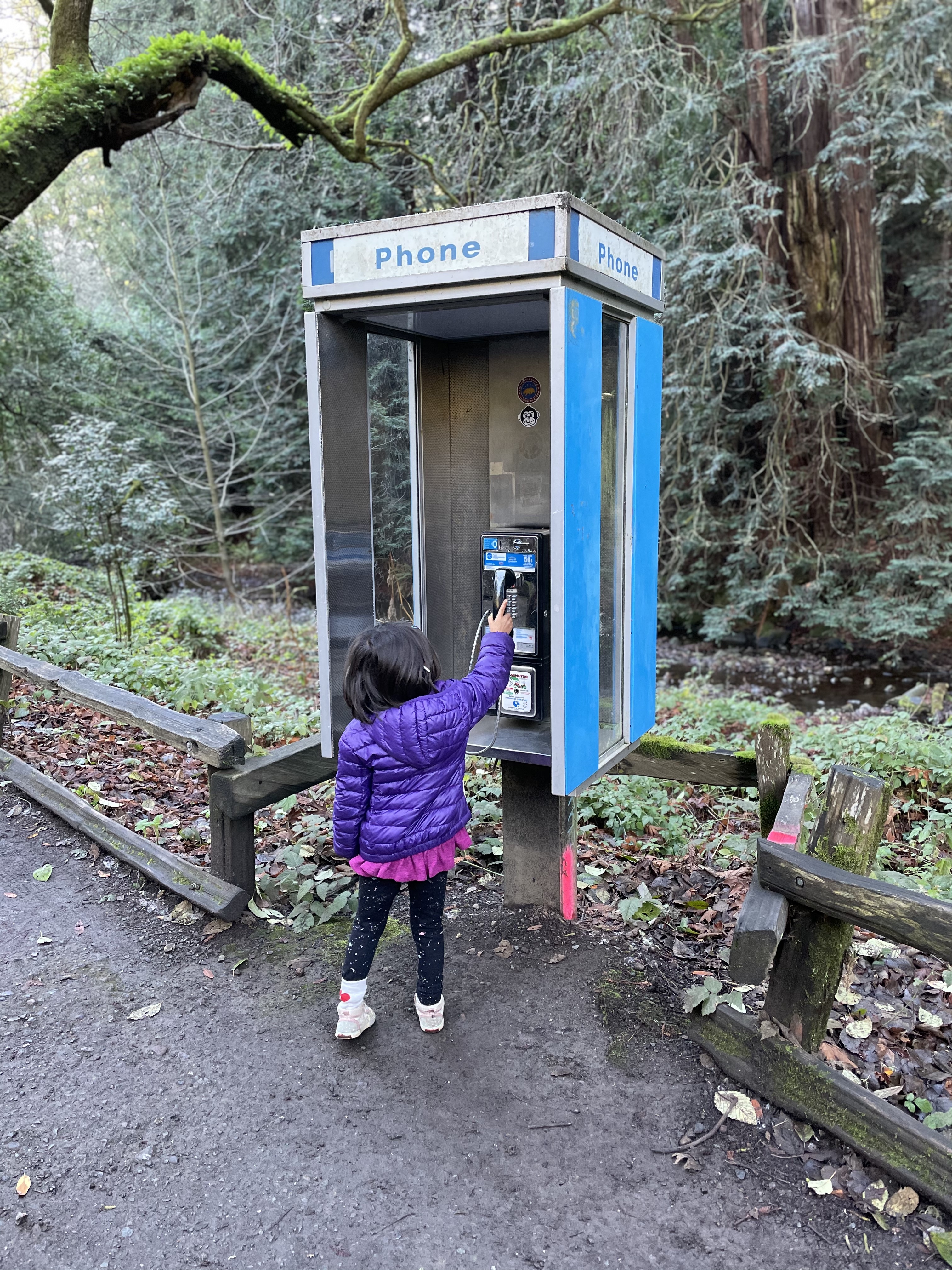 payphone in muir woods